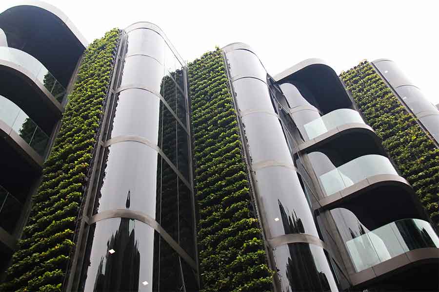 Vertical garden building
